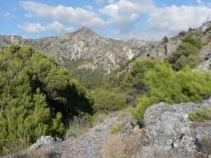 Cerro Montellano
