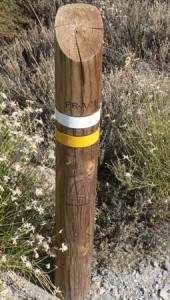 PR Continuation of path