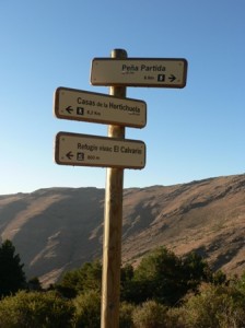 Sulayr signs
