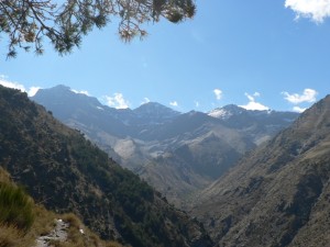View from higher path
