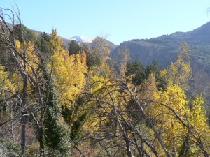 Dilar Valley, Andalucia, Spain