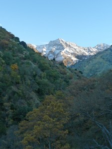 Vereda de la Estrella - autumn