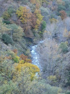 Autumn colours