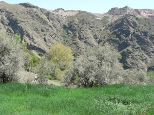 Trevélez Valley in the Alpujarras