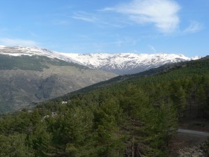 View of Sierra Nevada from Sulayr path above Capileira