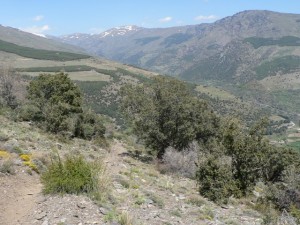 Trevelez valley